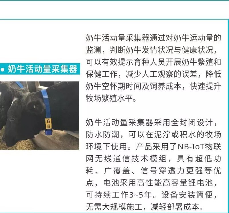 叉车推出器:提升物流效率的新星